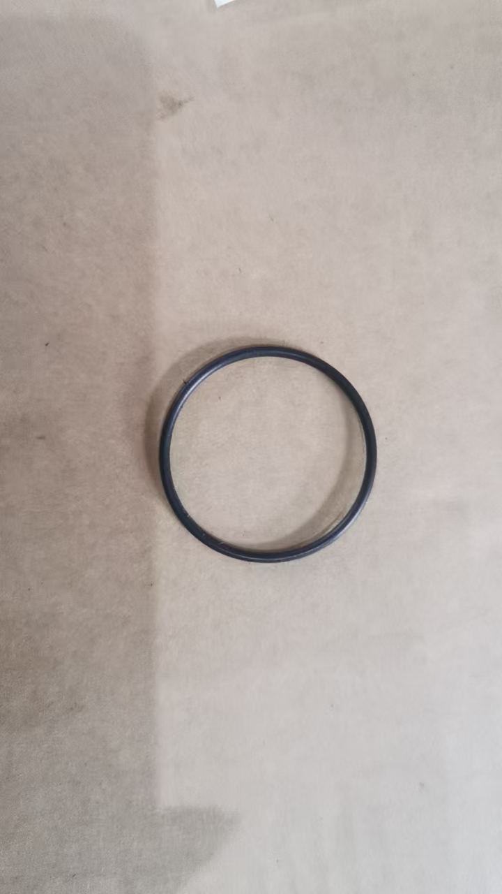 Thermostat Rubber Ring