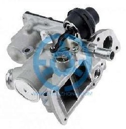 Exhaust Gas Recirculation Valve