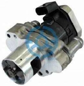 Exhaust Gas Recirculation Valve