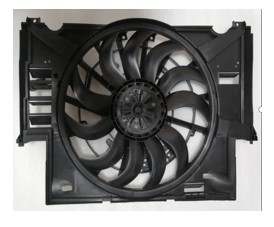 Radiator Fan