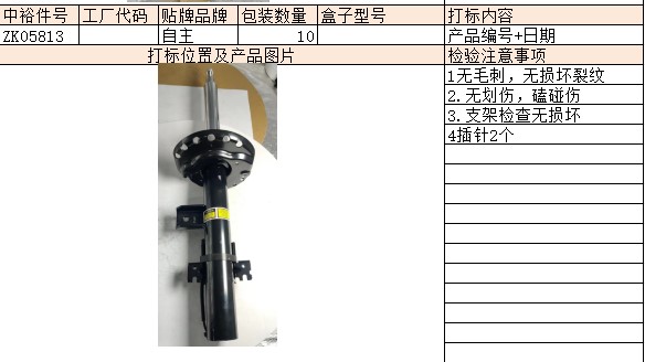 Right Rear Shock Absorber