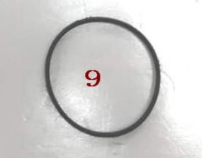 Sealing Ring3