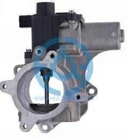 Exhaust Gas Recirculation Valve