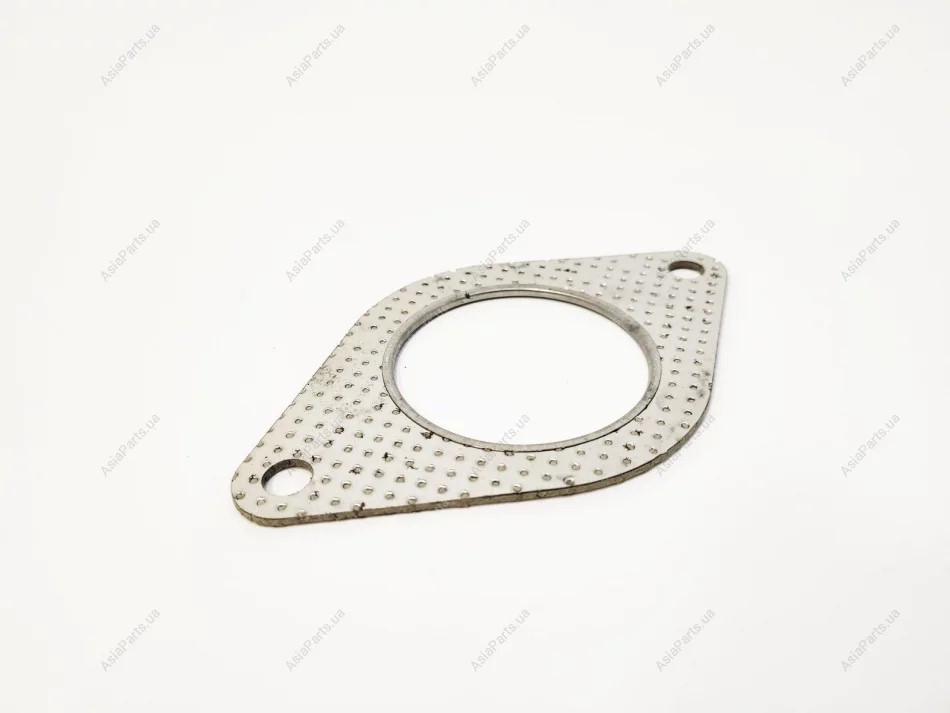 Exhaust Pipe Gasket