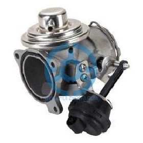 Exhaust Gas Recirculation Valve