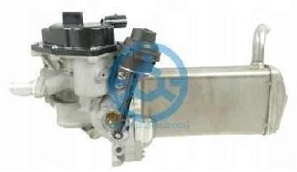 Exhaust Gas Recirculation Valve