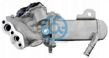 Exhaust Gas Recirculation Valve