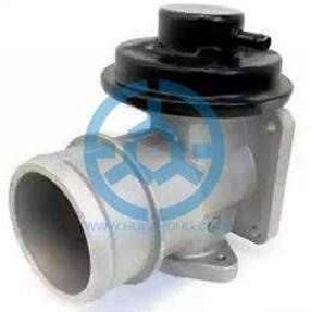 Exhaust Gas Recirculation Valve