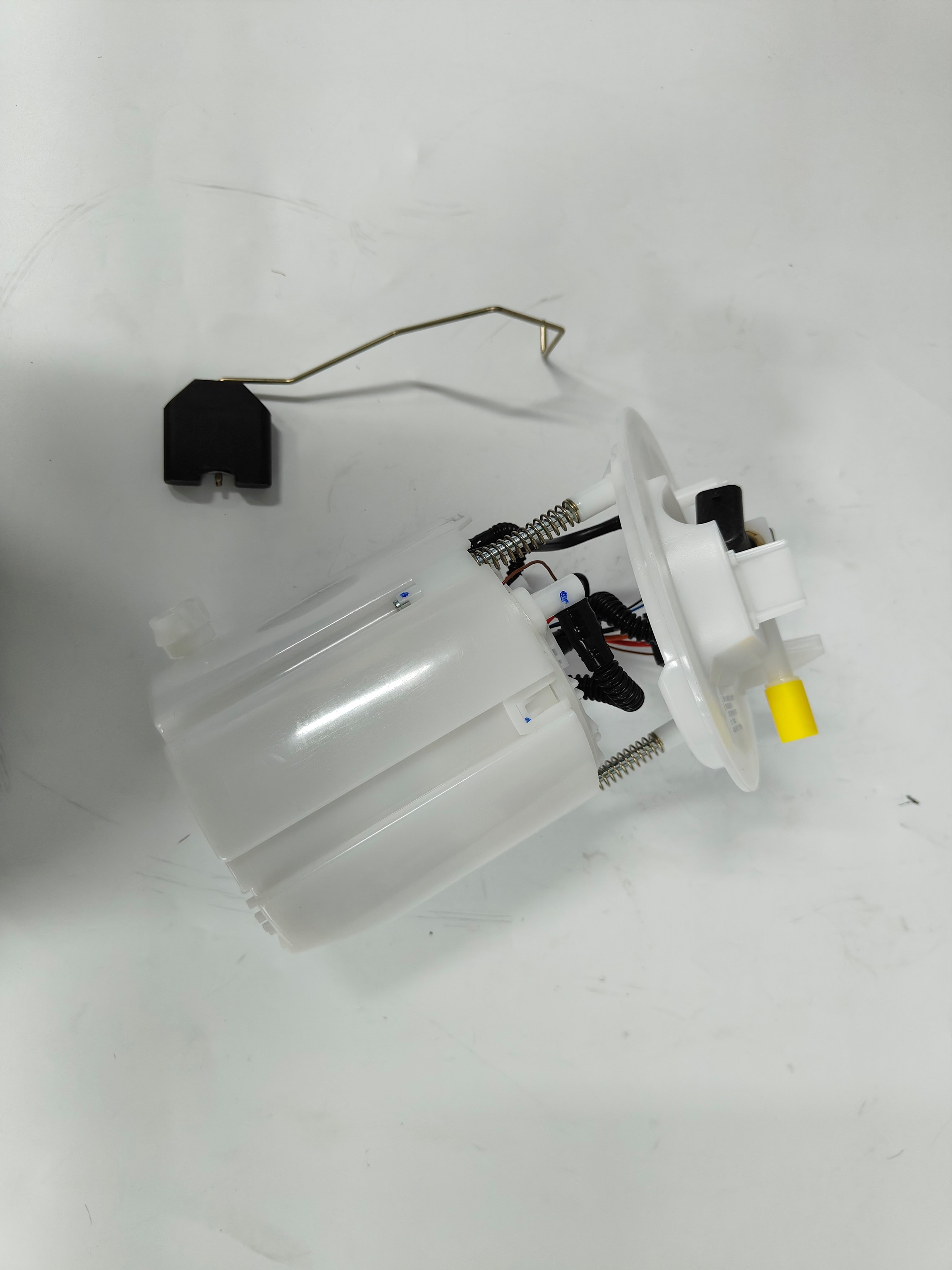 Fuel Pump Assembly