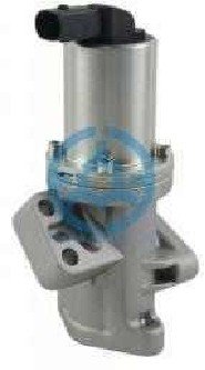 Exhaust Gas Recirculation Valve