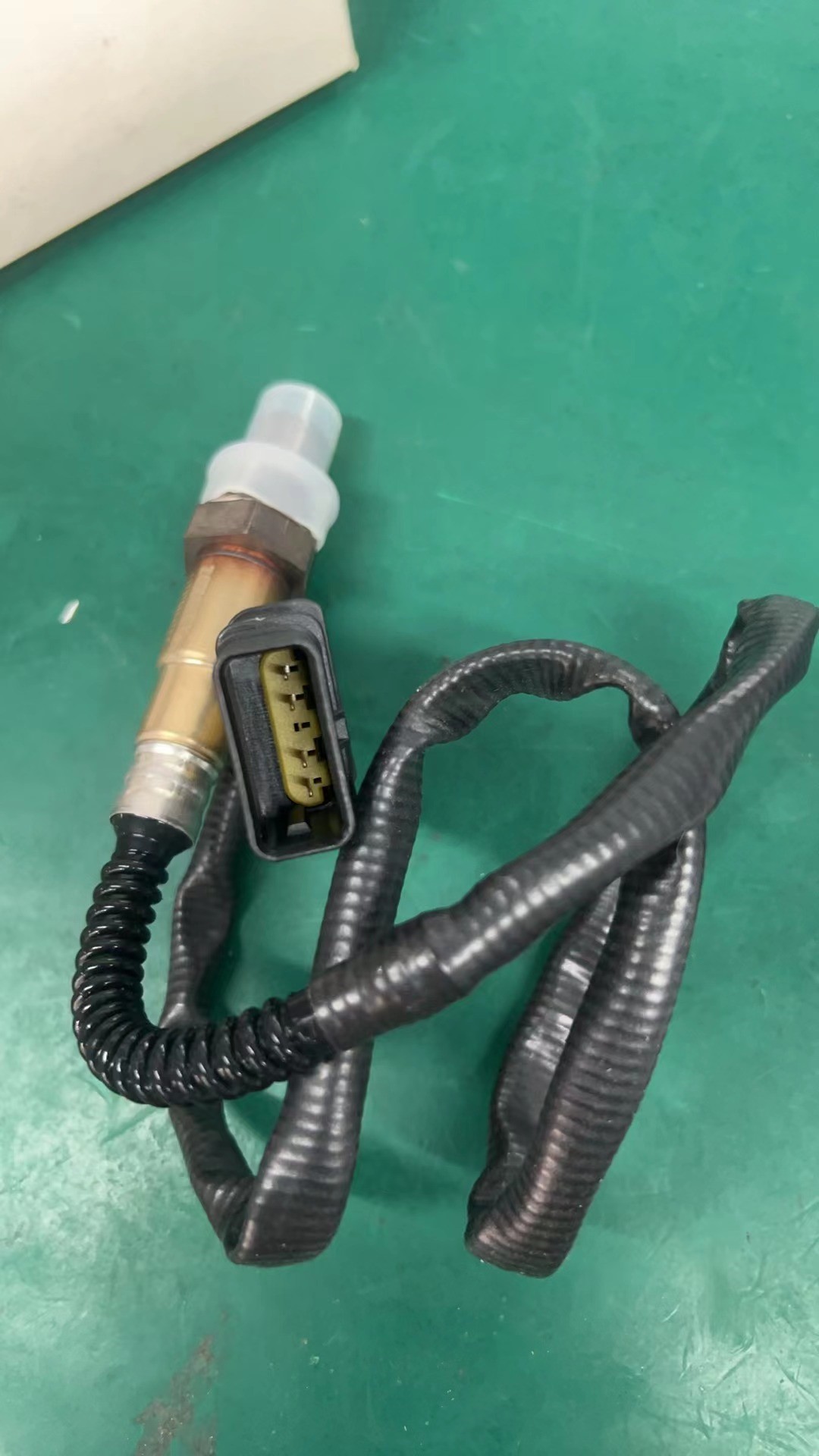 Oxygen Sensor