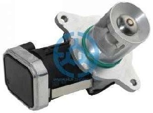 Exhaust Gas Recirculation Valve