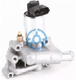 Exhaust Gas Recirculation Valve