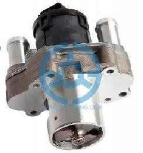 Exhaust Gas Recirculation Valve