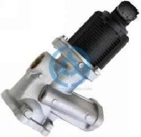 Exhaust Gas Recirculation Valve