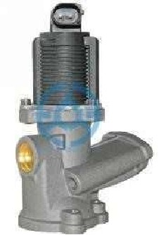 Exhaust Gas Recirculation Valve