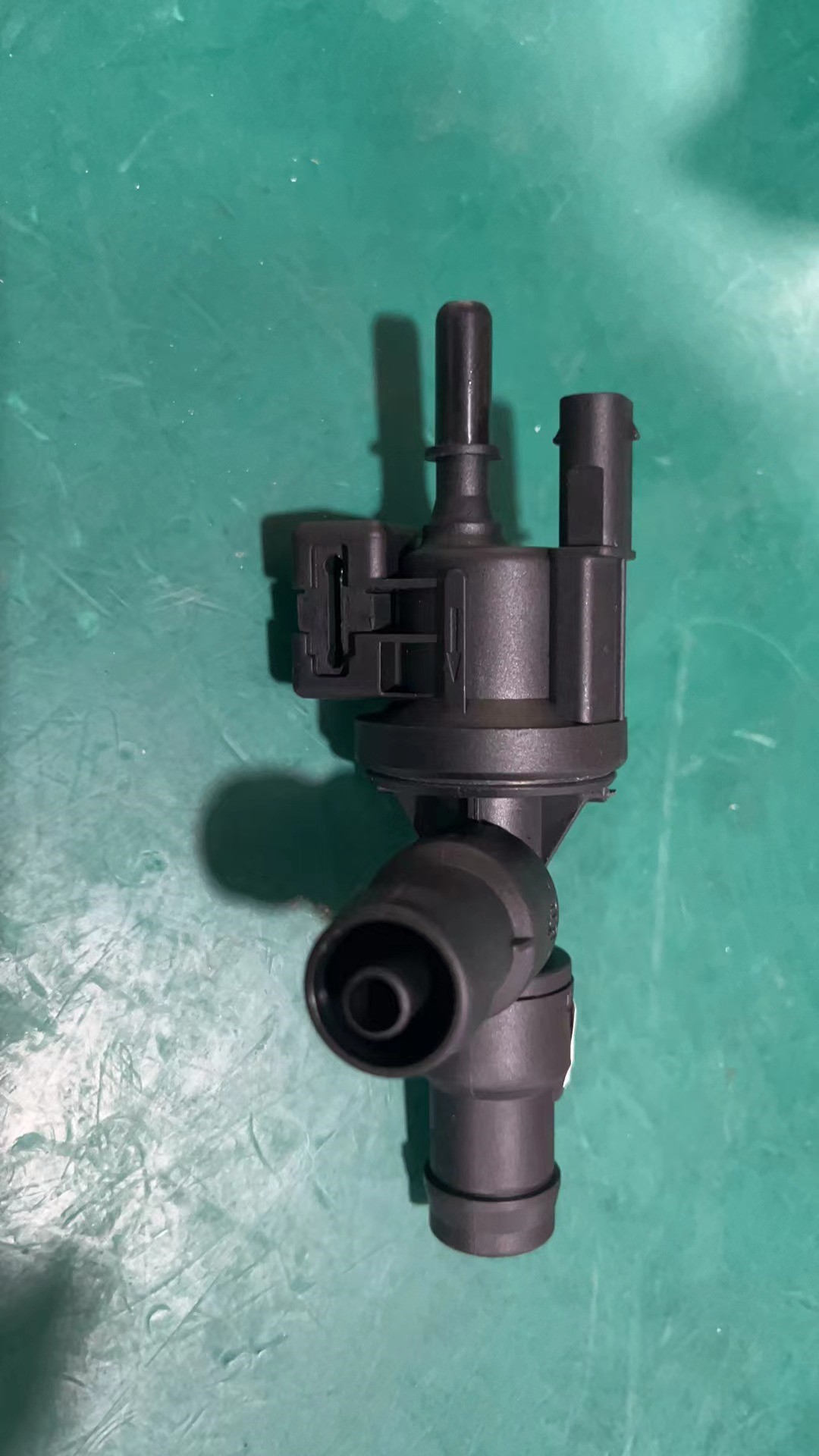 Carbon Canister Solenoid Valve