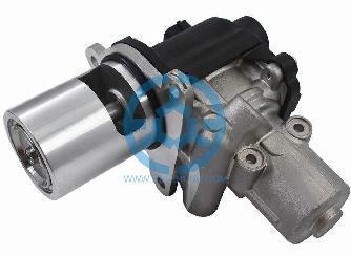 Exhaust Gas Recirculation Valve