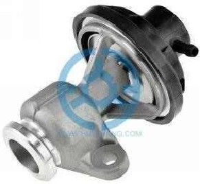 Exhaust Gas Recirculation Valve