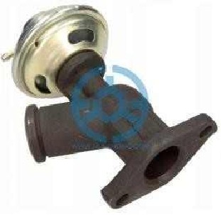 Exhaust Gas Recirculation Valve