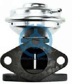 Exhaust Gas Recirculation Valve