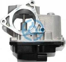 Exhaust Gas Recirculation Valve