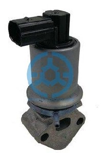 Exhaust Gas Recirculation Valve