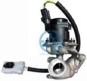 Exhaust Gas Recirculation Valve