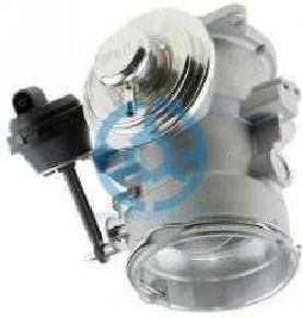 Exhaust Gas Recirculation Valve