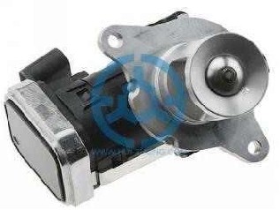 Exhaust Gas Recirculation Valve