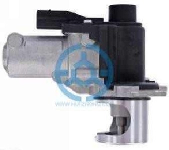 Exhaust Gas Recirculation Valve