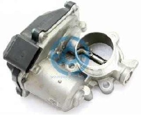 Exhaust Gas Recirculation Valve