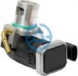 Exhaust Gas Recirculation Valve