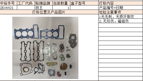 Engine Overhaul Kit (Cjt Cgw）