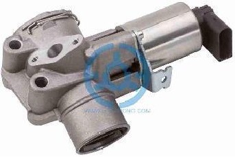 Exhaust Gas Recirculation Valve