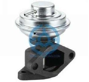 Exhaust Gas Recirculation Valve