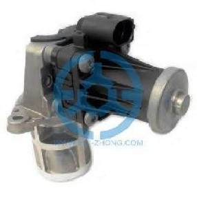 Exhaust Gas Recirculation Valve