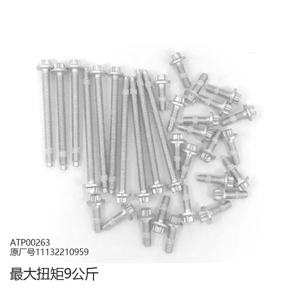 Oil Pan Screws (33Indivual)