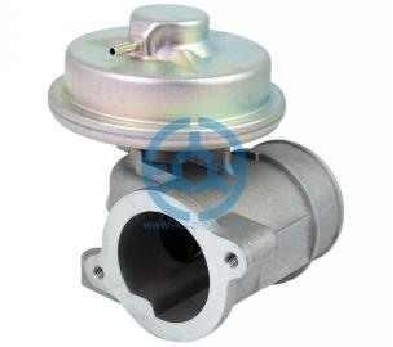 Exhaust Gas Recirculation Valve