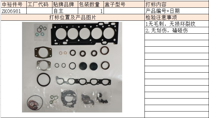 Engine Overhaul Kit