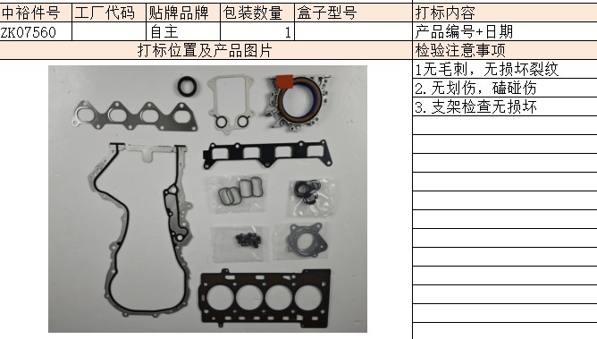 Public1.4Tcaxengine Overhaul Kit
